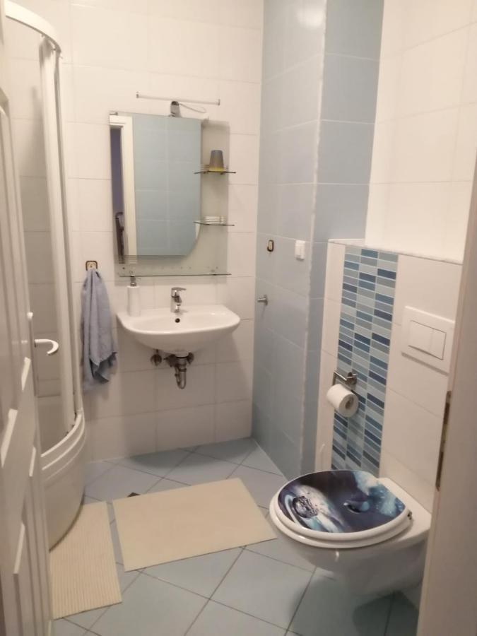 Dora Apartamento Krapinske Toplice Exterior foto